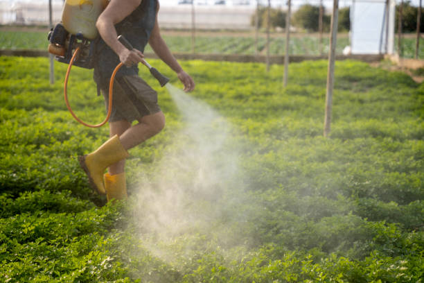 Best Pest Removal Services  in Shawneetown, IL